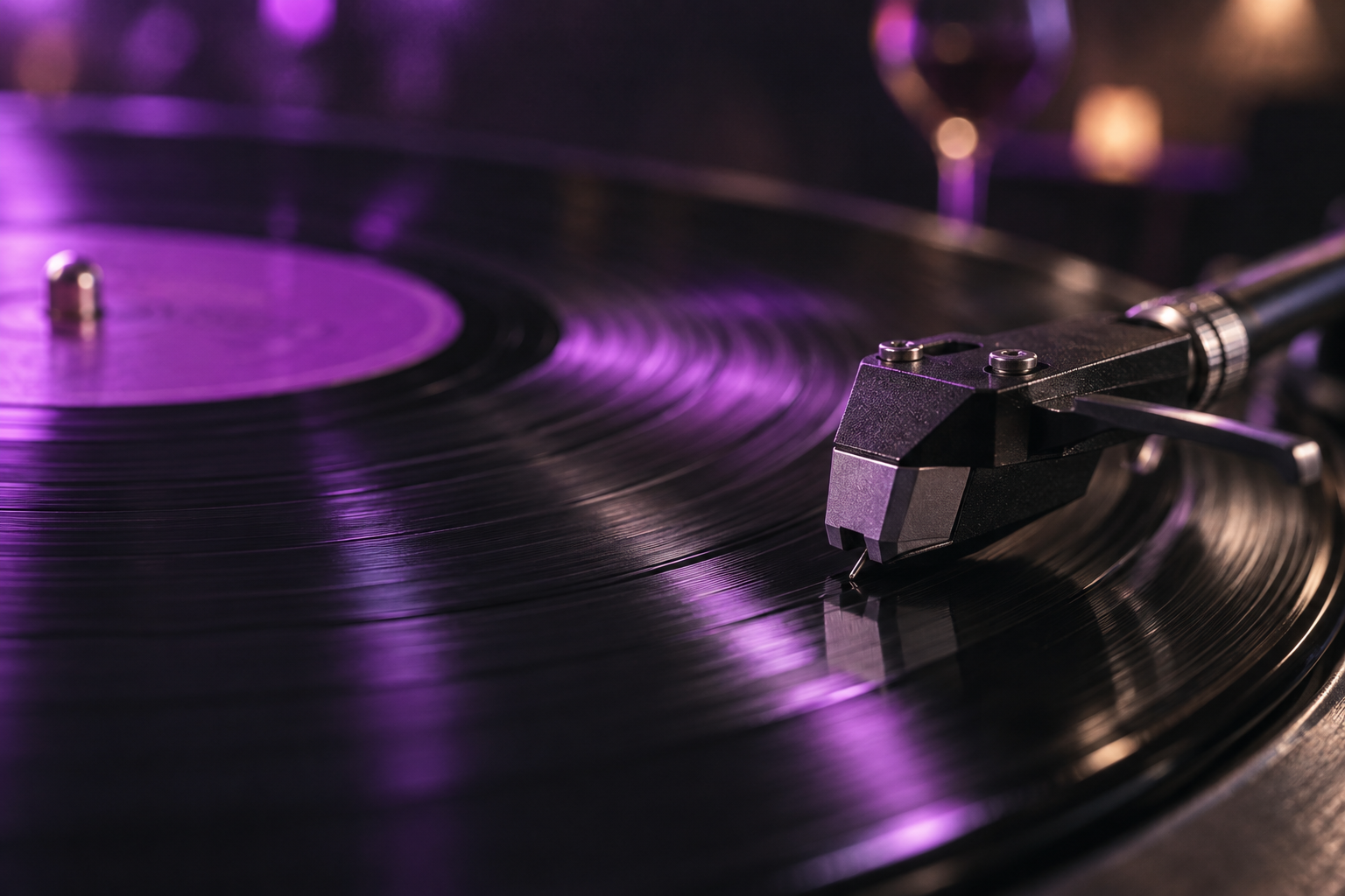 Vinile e dettagli sonori